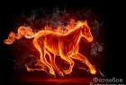Фотообои Огненная лошадь на заказ в Москве по выгодной стоимости